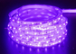 Bộ đèn LED UV Dải ánh sáng đen Dải ánh sáng LED 12V Dải ánh sáng LED 2835 IP65 Dải đèn LED UV chống thấm nước